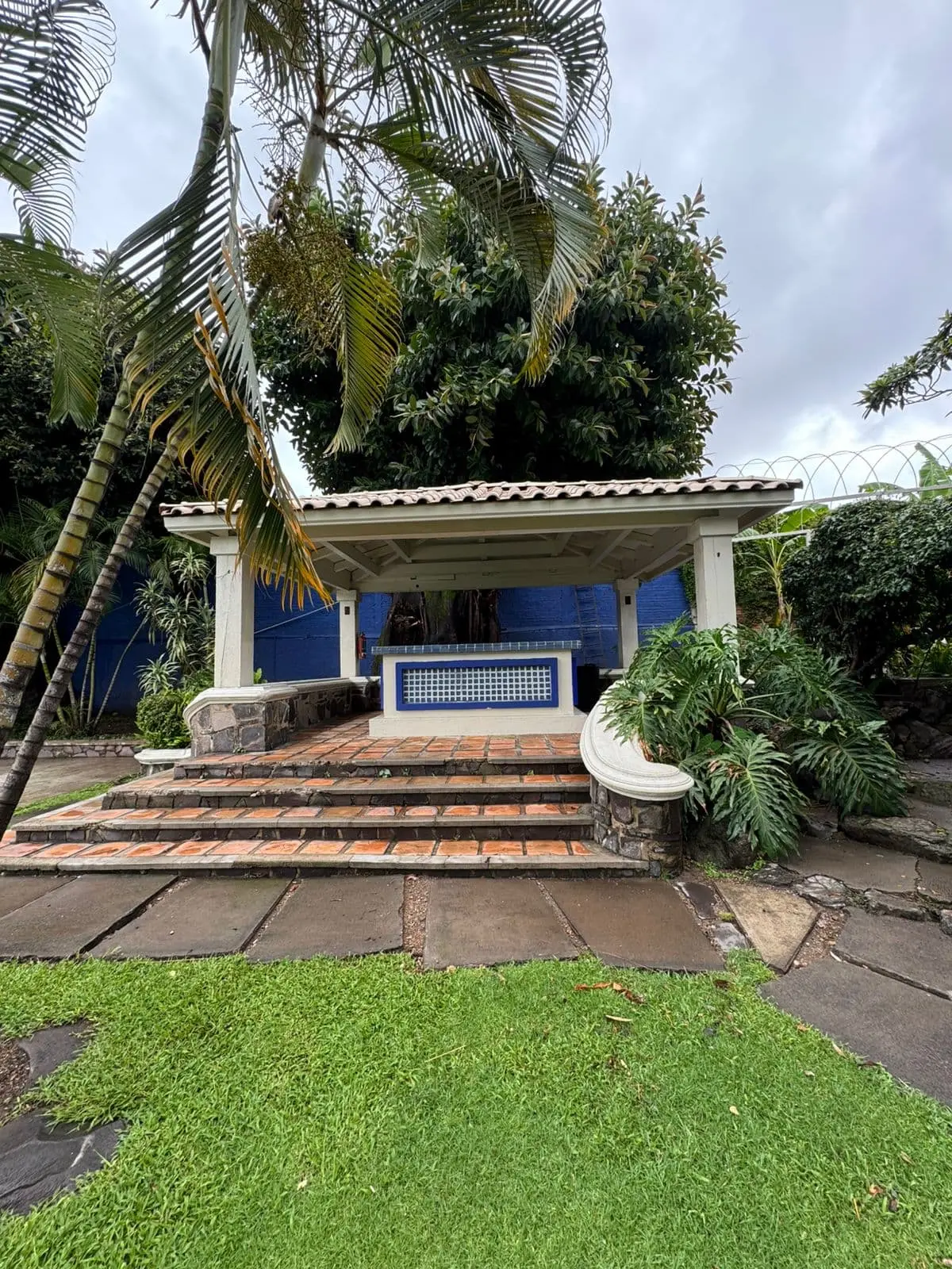 Galería Terraza Fontainblue 3